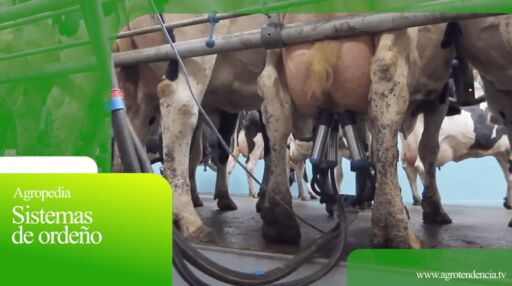 Sistemas de ordeño – Agro en 2 minutos
