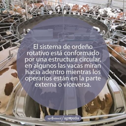 Ordeño - máquinas de ordeño - sistemas de ordeño - equipos de ordeño - salas de ordeño - ventajas de los sistemas de ordeño - desventajas de los sistemas de ordeño