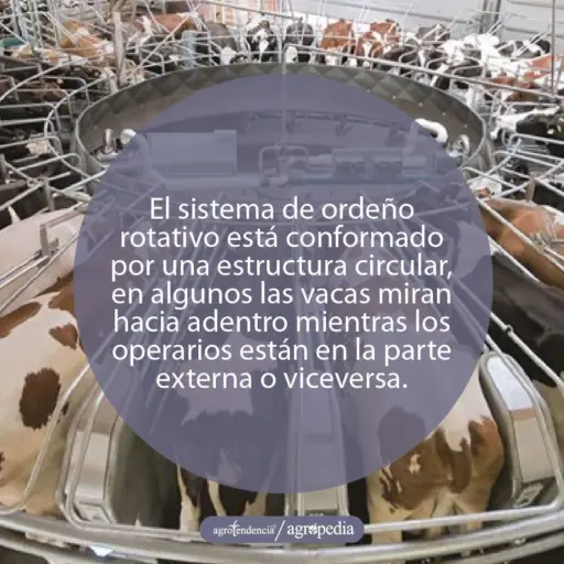 Ordeño - máquinas de ordeño - sistemas de ordeño - equipos de ordeño - salas de ordeño - ventajas de los sistemas de ordeño - desventajas de los sistemas de ordeño