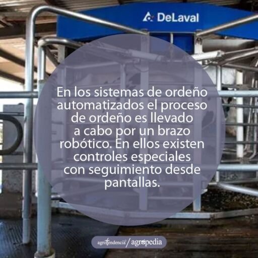 Ordeño - máquinas de ordeño - sistemas de ordeño - equipos de ordeño - salas de ordeño - ventajas de los sistemas de ordeño - desventajas de los sistemas de ordeño