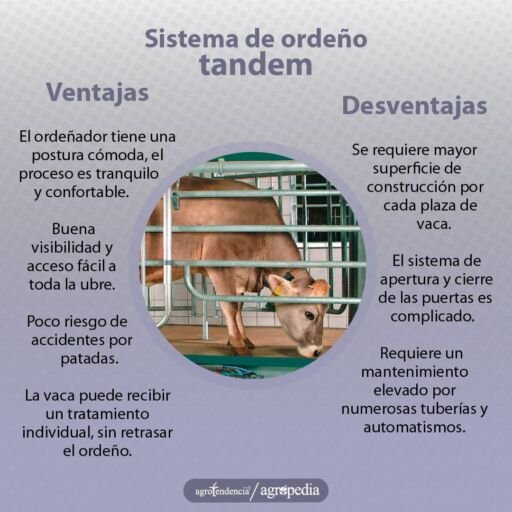 Ordeño - máquinas de ordeño - sistemas de ordeño - equipos de ordeño - salas de ordeño - ventajas de los sistemas de ordeño - desventajas de los sistemas de ordeño