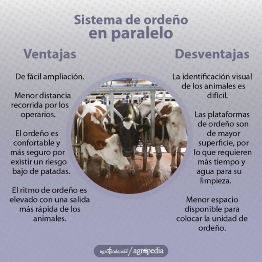 Ordeño - máquinas de ordeño - sistemas de ordeño - equipos de ordeño - salas de ordeño - ventajas de los sistemas de ordeño - desventajas de los sistemas de ordeño