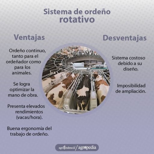 Ordeño - máquinas de ordeño - sistemas de ordeño - equipos de ordeño - salas de ordeño - ventajas de los sistemas de ordeño - desventajas de los sistemas de ordeño