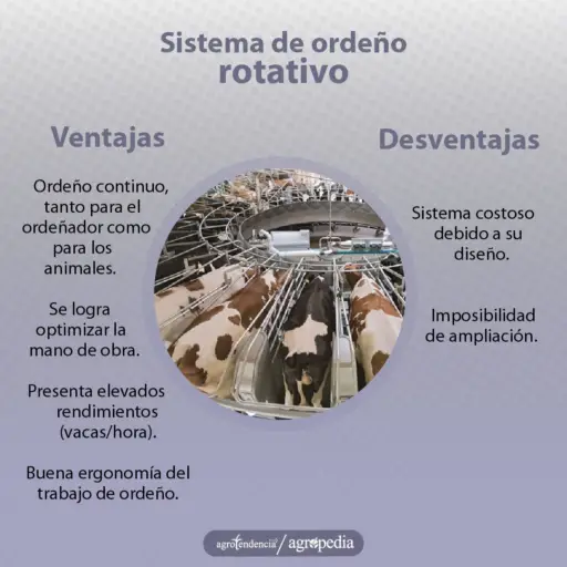 Ordeño - máquinas de ordeño - sistemas de ordeño - equipos de ordeño - salas de ordeño - ventajas de los sistemas de ordeño - desventajas de los sistemas de ordeño