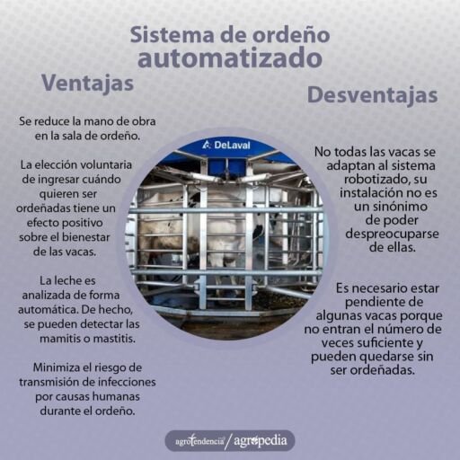 Ordeño - máquinas de ordeño - sistemas de ordeño - equipos de ordeño - salas de ordeño - ventajas de los sistemas de ordeño - desventajas de los sistemas de ordeño