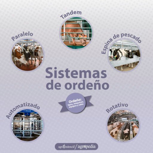 Ordeño - Sistemas de ordeño
