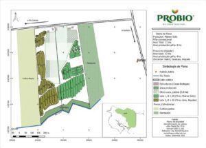 Mapas de cultivos realizados por medio de la Agricultura de precisión