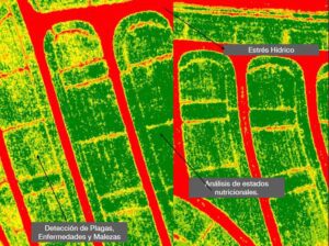 Análisis de imagen en la Agricultura de precisión
