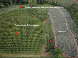 Detección de áreas con el uso de la Agricultura de precisión