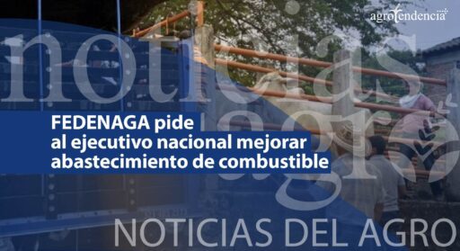 Fedenaga pide mejorar abastecimiento de combustible – Noticias del Agro