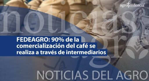 Fedeagro: 90% de la comercialización del café es a través de intermediarios + NDA