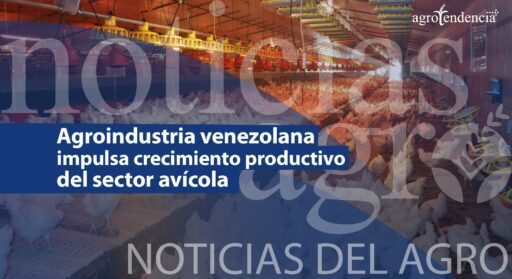 Agroindustria venezolana impulsa crecimiento productivo del sector avícola