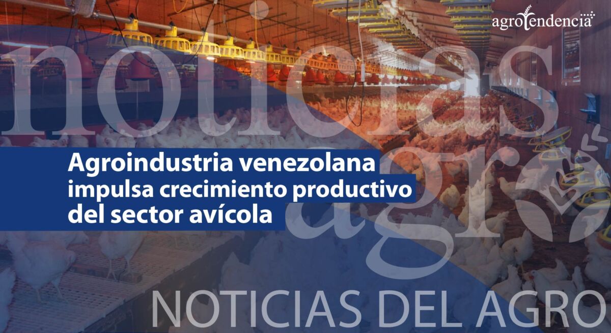 Noticias del Agro