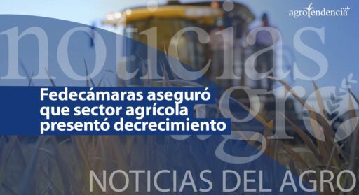 Fedecámaras aseguró que sector agrícola presentó decrecimiento