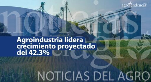 Agroindustria lidera crecimiento proyectado del 42.3%