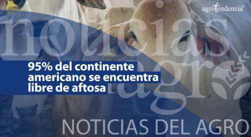 95% del continente americano se encuentra libre de aftosa