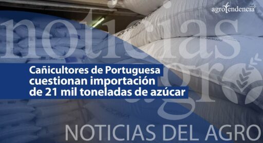 Cañicultores de Portuguesa cuestionan importación de 21 mil toneladas de azúcar