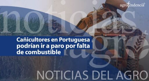 Núcleos de caña en Portuguesa podrían ir a paro por falta de combustible