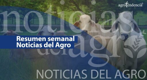 Noticias del Agro – Resumen semana 5 /2024
