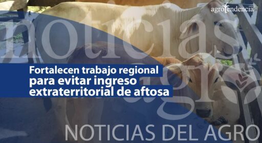 Fortalecen trabajo regional para evitar ingreso extraterritorial de aftosa