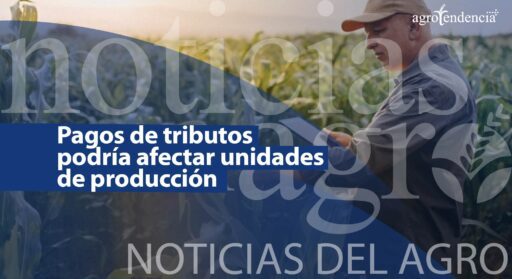 Pagos de tributos podría afectar unidades de producción
