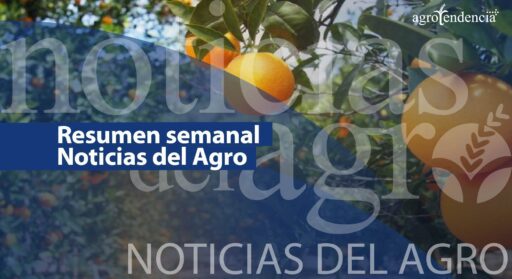 Noticias del Agro – Resumen semana 6 /2024