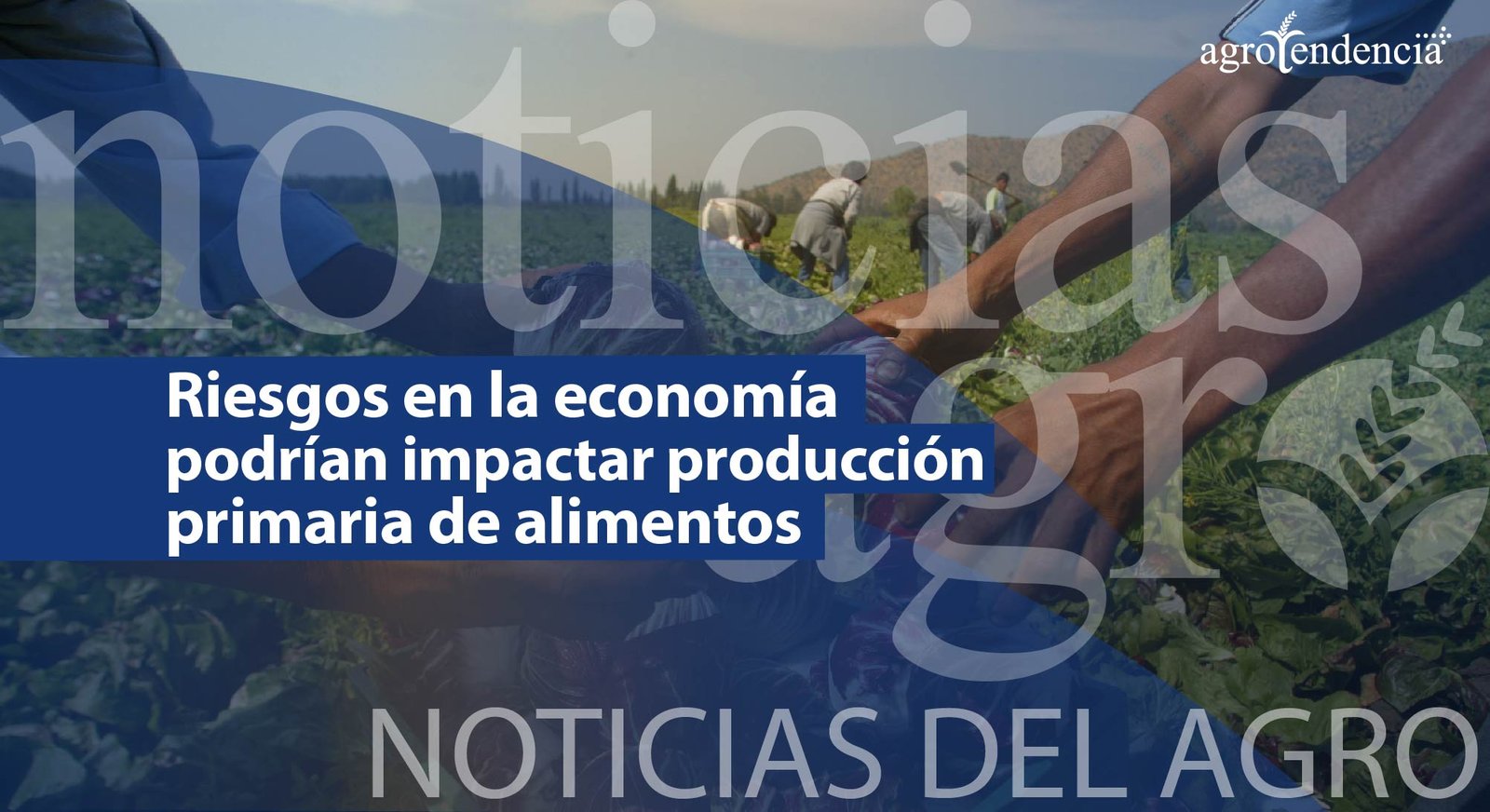 Noticias del agro