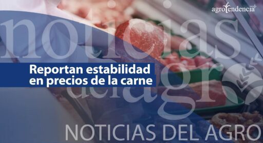 CONVECAR reporta estabilidad en precios de la carne