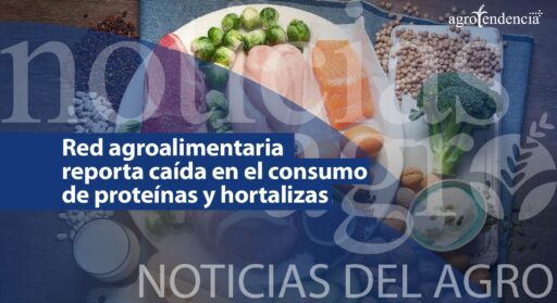 Red agroalimentaria reporta caída en el consumo de proteínas y hortalizas
