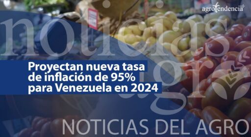 Proyectan nueva tasa de inflación de 95% en Venezuela para 2024