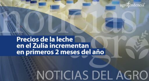 Precios de la leche en el estado Zulia incrementan en primeros 2 meses del año