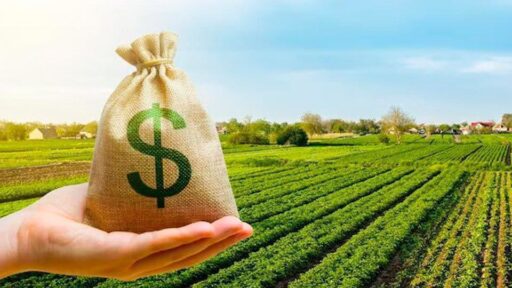 CANIMEV: mercado de valores crece y brinda oportunidades al sector agroindustrial