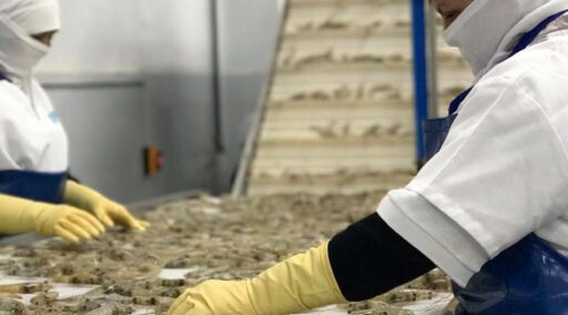 Noticias del Agro – Resumen semana 11 / 2024