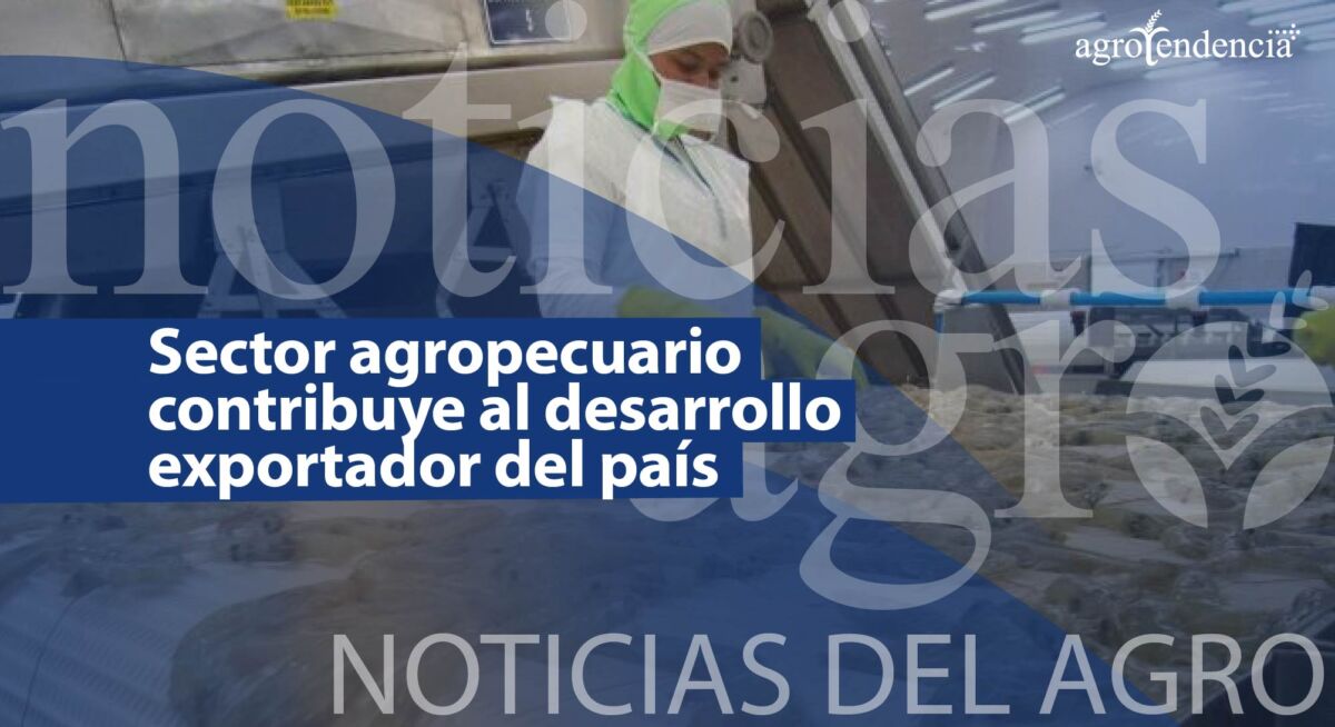 Noticias del agro