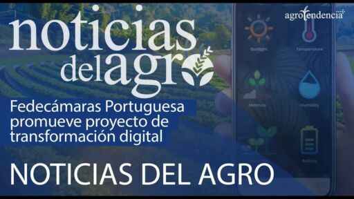 Fedecámaras portuguesa promueve proyecto para la transformación digital
