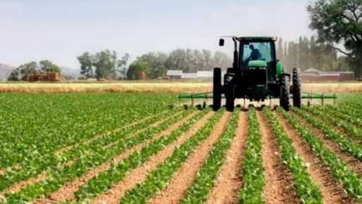 Noticias del Agro – Resumen semana 15 / 2024