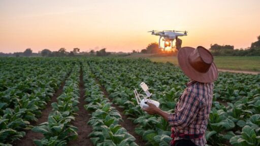 Agrotecnología contribuye a la diversificación ecológica en las fincas