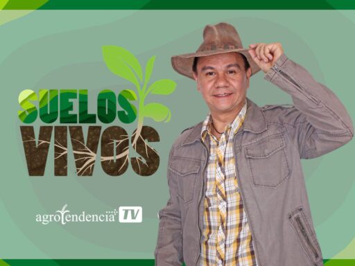 Suelos Vivos