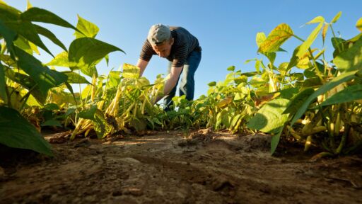 Noticias del Agro – Resumen semana 17 / 2024