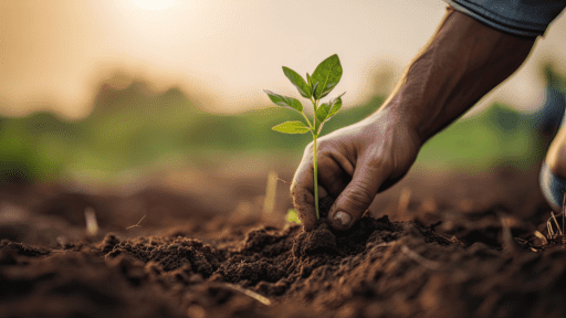 Avance de la agricultura regenerativa en Venezuela