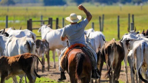 Noticias del Agro – Resumen semana 14 / 2024