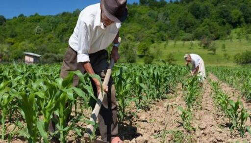 Protocolización de inmuebles agrícolas sin aval de INTI brinda seguridad jurídica