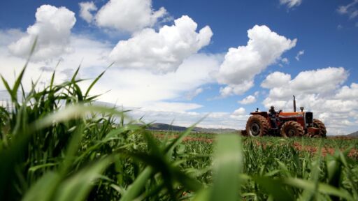 Noticias del Agro – Resumen semana 25 / 2024