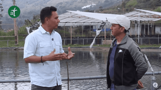 Integración de la cría de tilapia en el manejo orgánico de hortalizas – Suelos Vivos