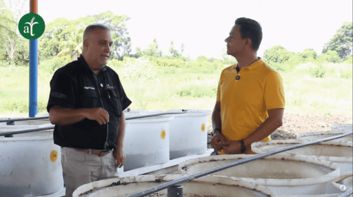 Biofábrica: insumos orgánicos para la producción agrícola – Suelos Vivos