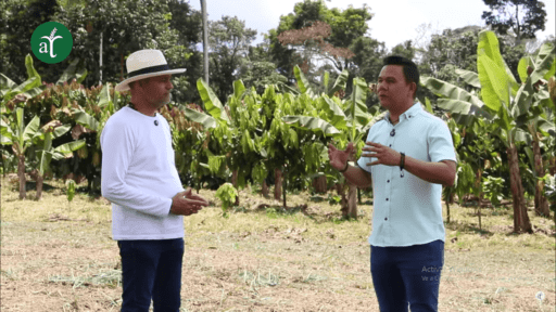 Uso de bioinsumos para la regeneración de suelos en el cultivo de cacao – Suelos Vivos