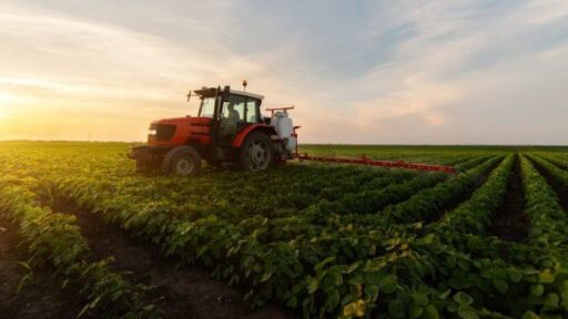 Datanálisis: sector agroproductivo cayó 2,6% en el primer trimestre de 2024