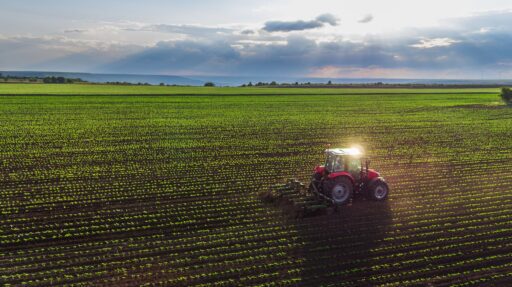 Economista Asdrubal Oliveros señala que sector agroindustrial creció 42% desde 2021