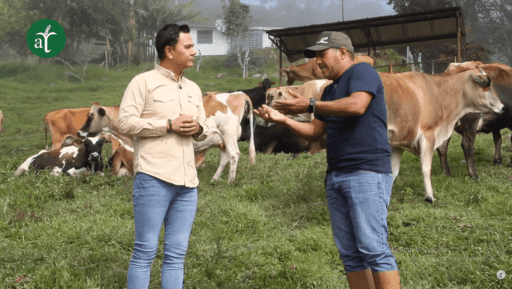 Ganadería regenerativa en bovinos de producción lechera – Suelos Vivos