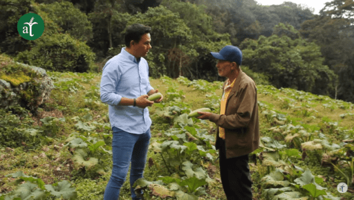 Aprovechamiento de recursos orgánicos para producir bioinsumos – Suelos Vivos